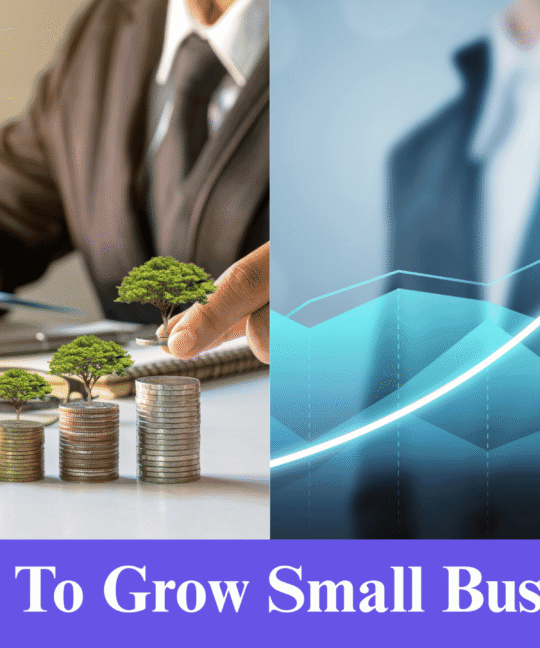 How To Grow Small Business